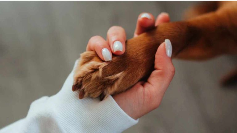 1 (69)