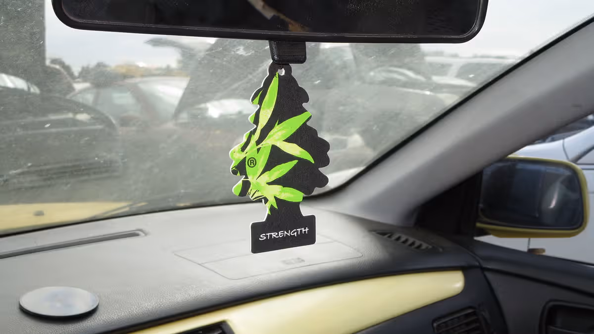 Geeky custom car air freshener