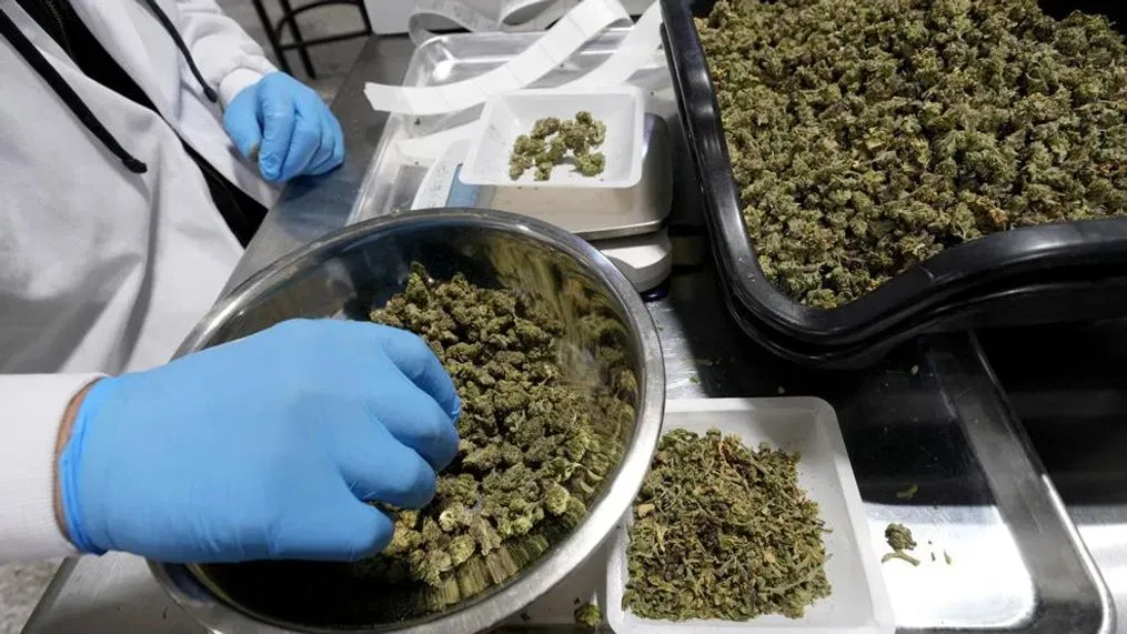 Medical marijuana purchases