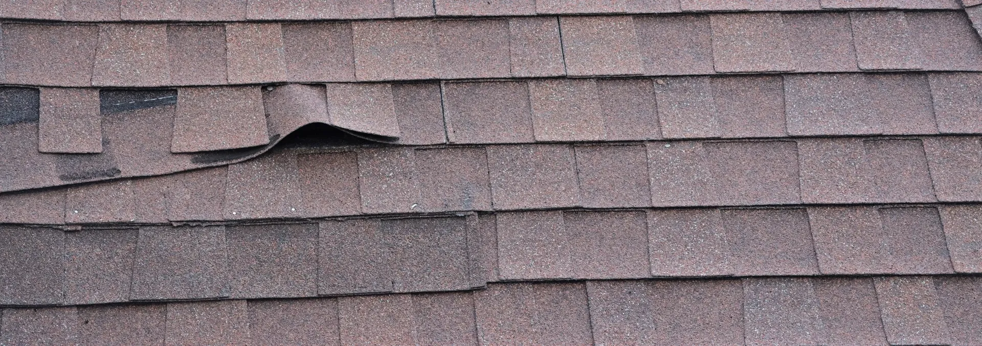 Shingles lifting off