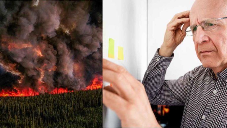 Air Pollution from Wildfires will increase Dementia