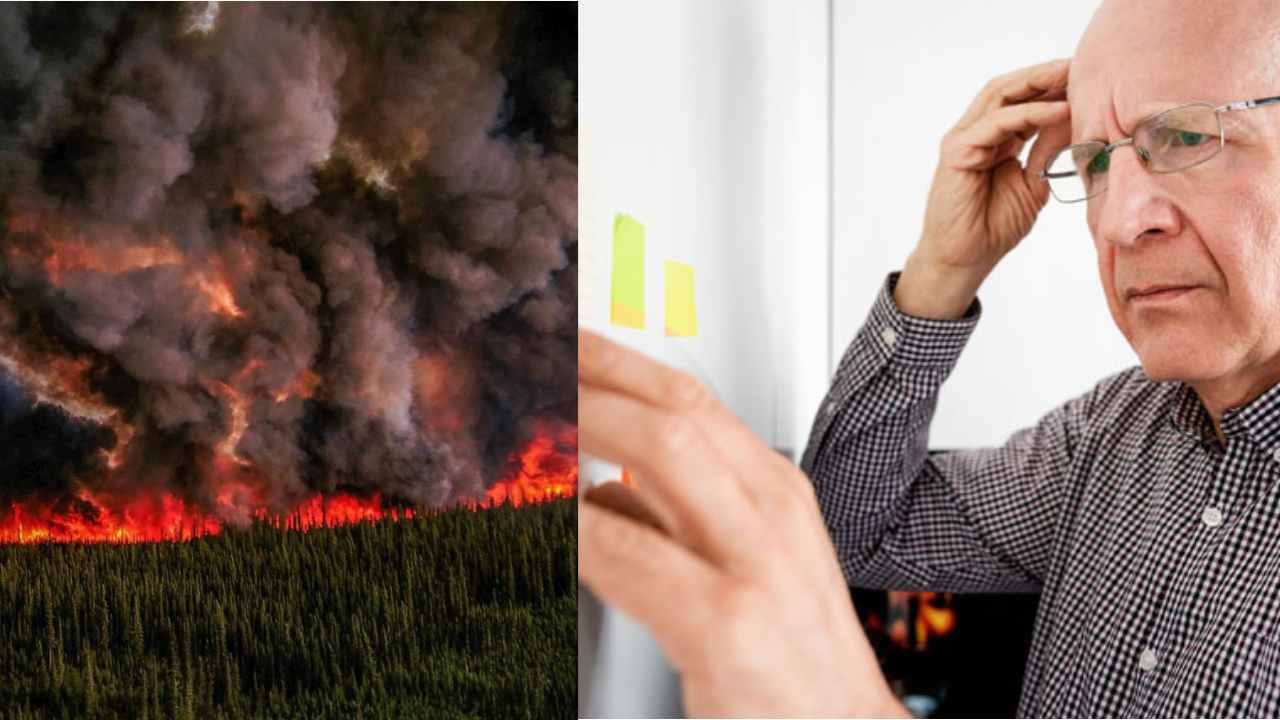 Air Pollution from Wildfires will increase Dementia