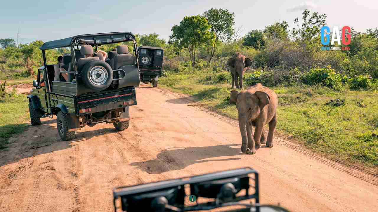 Arusha National Park Safari: An Unforgettable Adventure Awaits