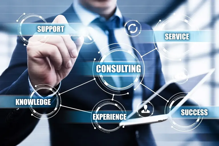 Business management consulting services