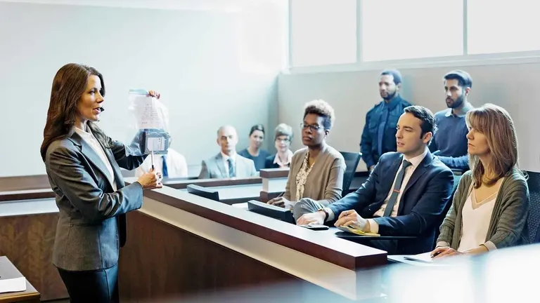 Criminal defense arguments