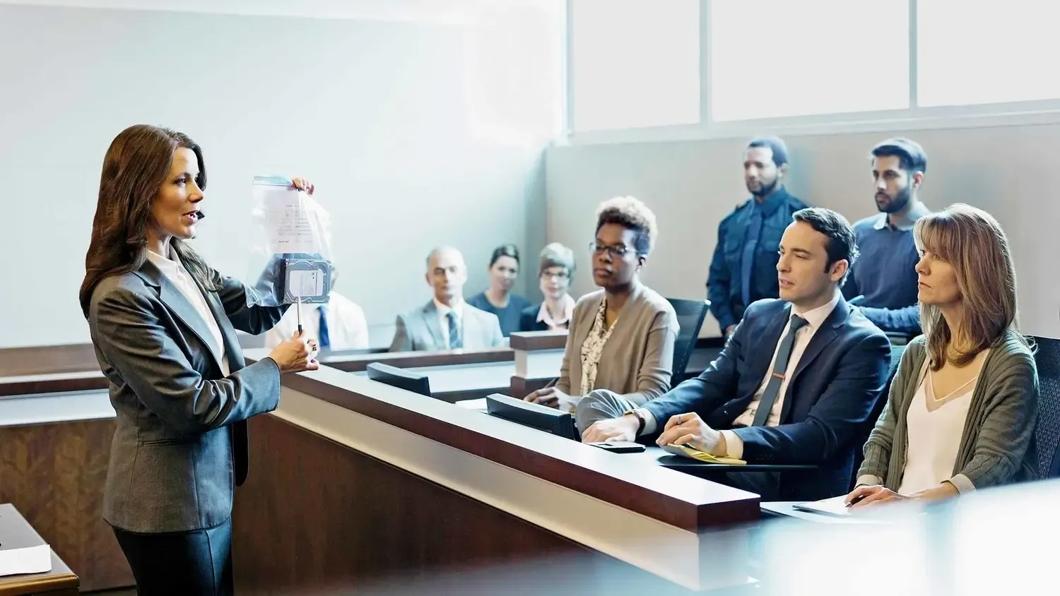 Criminal defense arguments