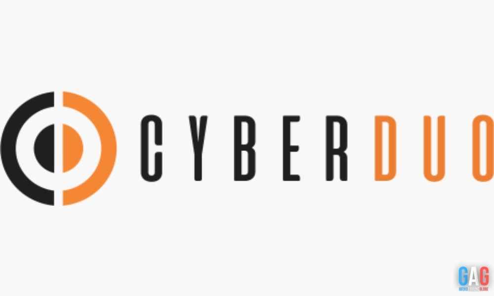 CyberDuo's Net worth Then and Now
