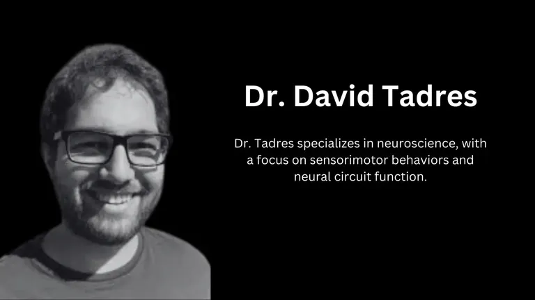Dr. David Tadres