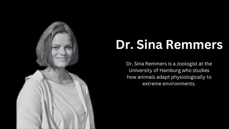 Dr. Sina Remmers