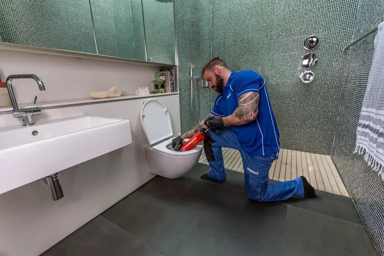 Toilet unblocking services in Essex