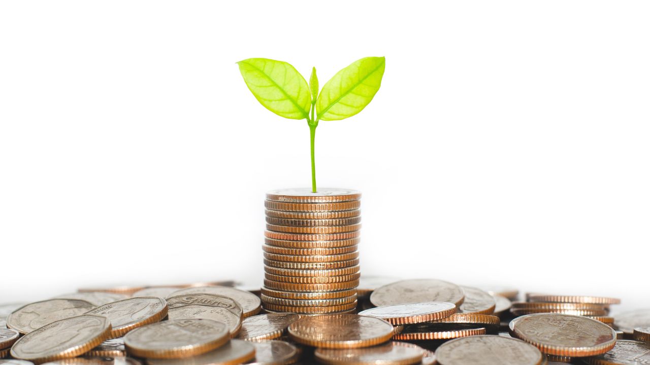 Financial Fluency Becoming Literate in Money Matters