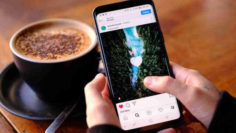 From Novice to Expert: The Anonymous Instagram Story Viewer Journey
