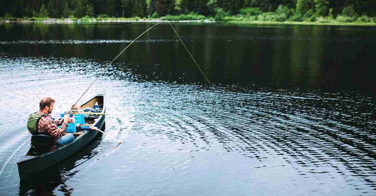 From Novice to Pro How Guided Fishing Trips Cater to All Skill Levels