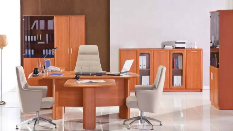 Furniture Placement Tips for a Feng Shui-Inspired Office