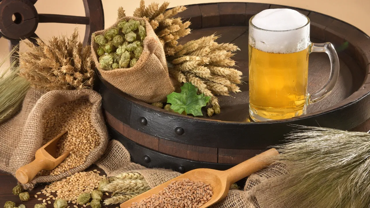 How to Choose the Right Ingredients for Your First Home Brew