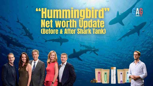 “Hummingbird” Net worth Update (Before & After Shark Tank)
