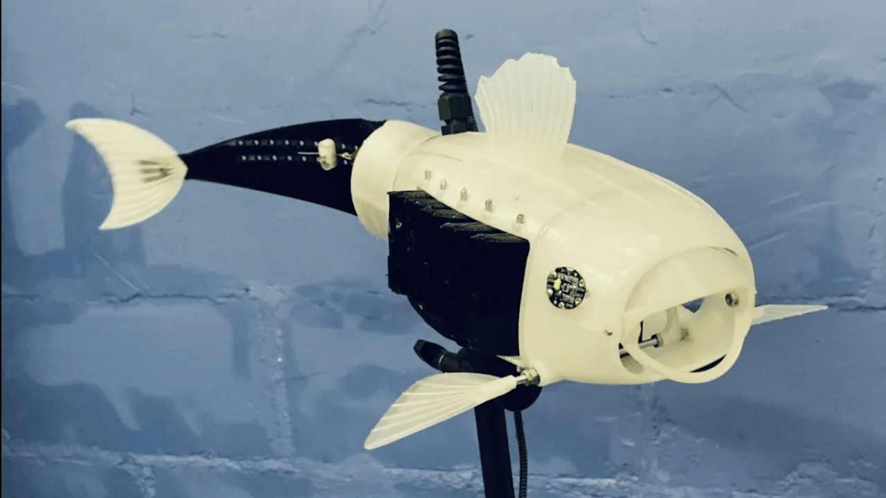 Meet Gillbert: The Robot Fish Eating Ocean Plastic
