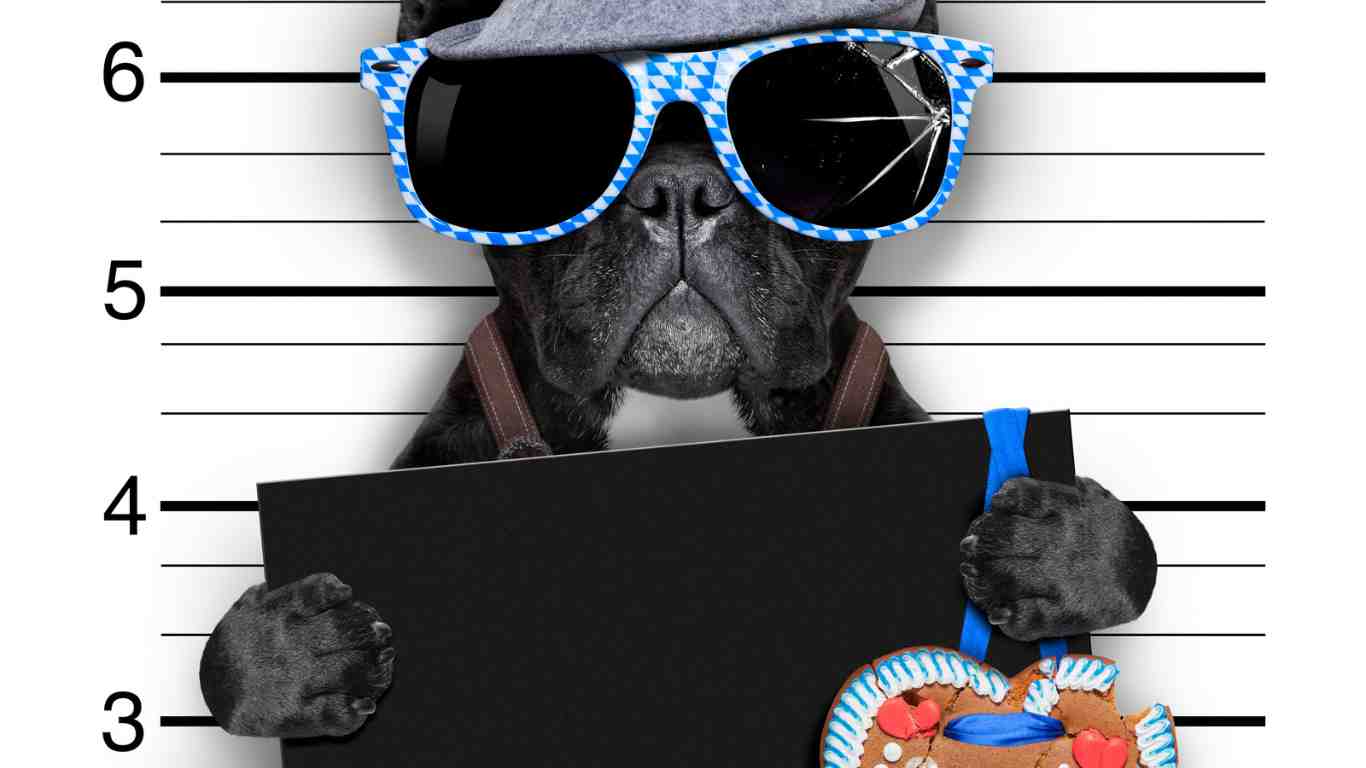 Mugshots