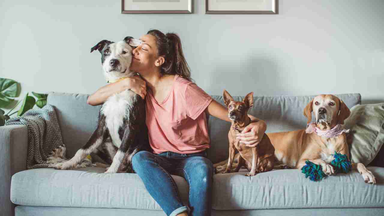 Navigating Pet Insurance