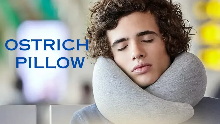 OSTRICH PILLOW