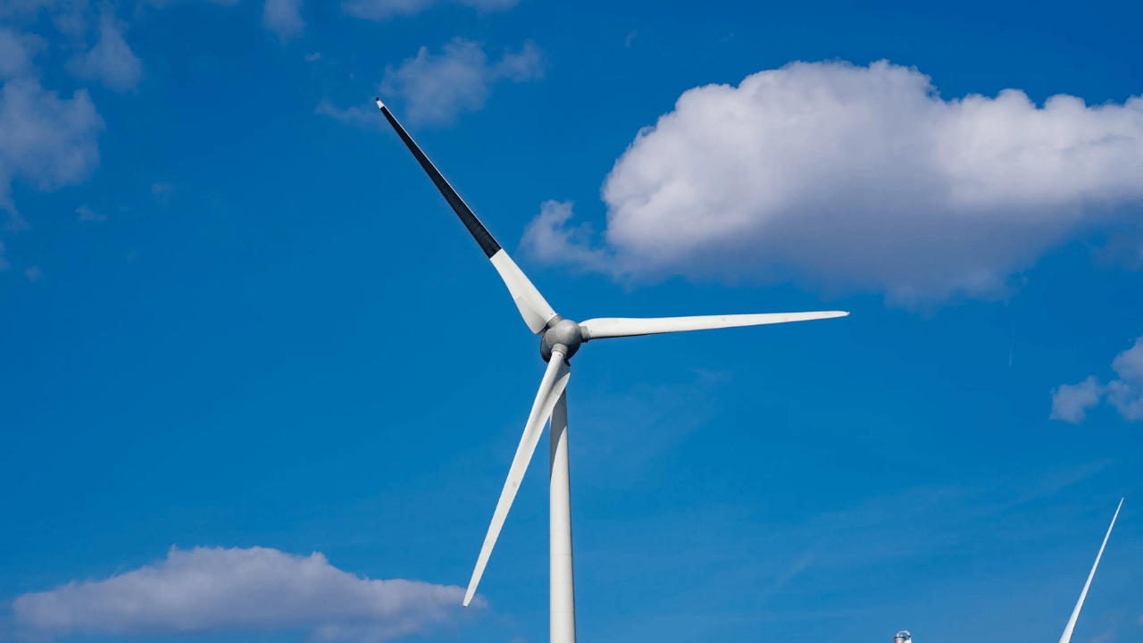 Painted Turbine Blades Save 70% of Birds from Death