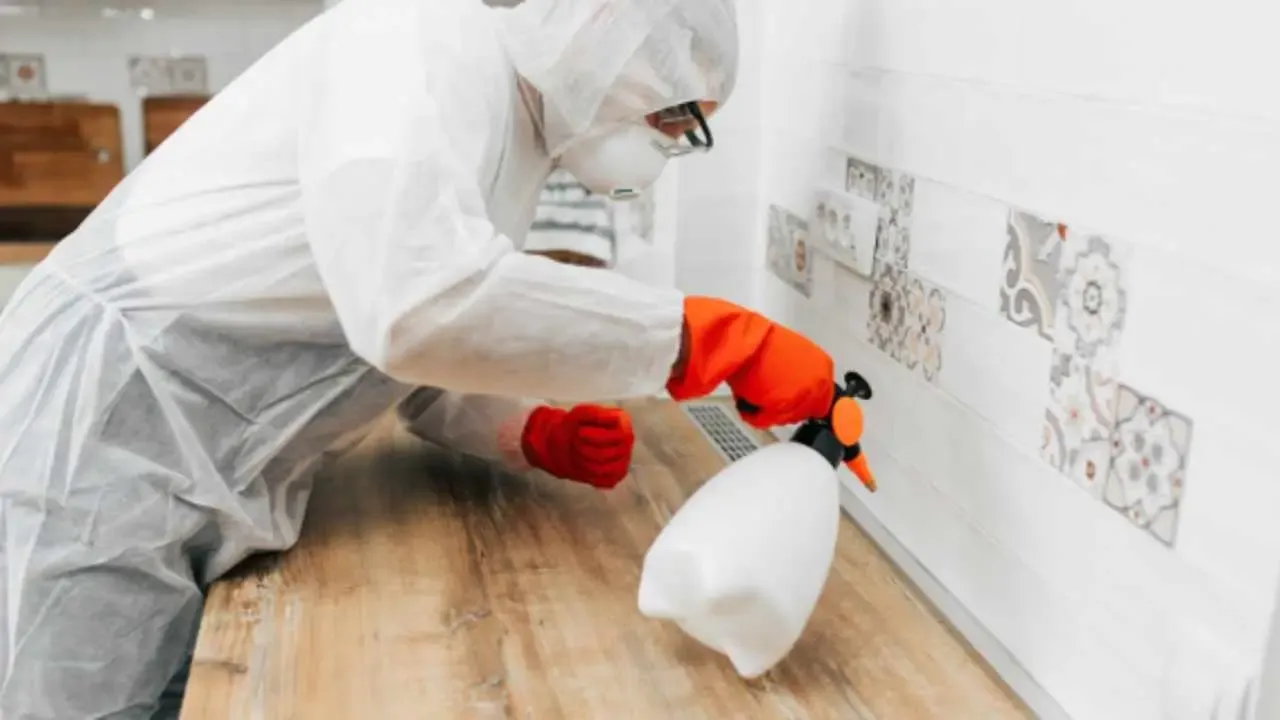 Professional Exterminator