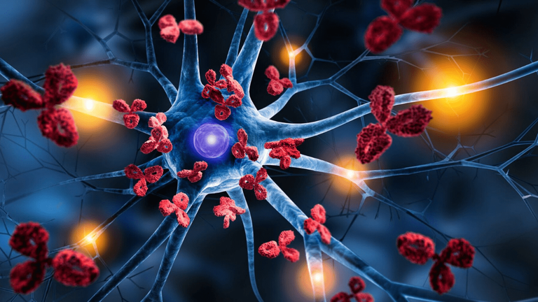 Researchers found link between COVID-19 and Autoimmune Disorder