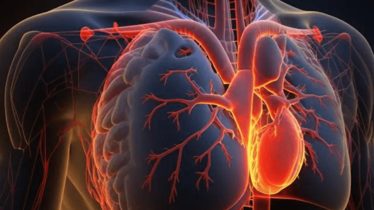 Scientists Have Fond New Heart Disease