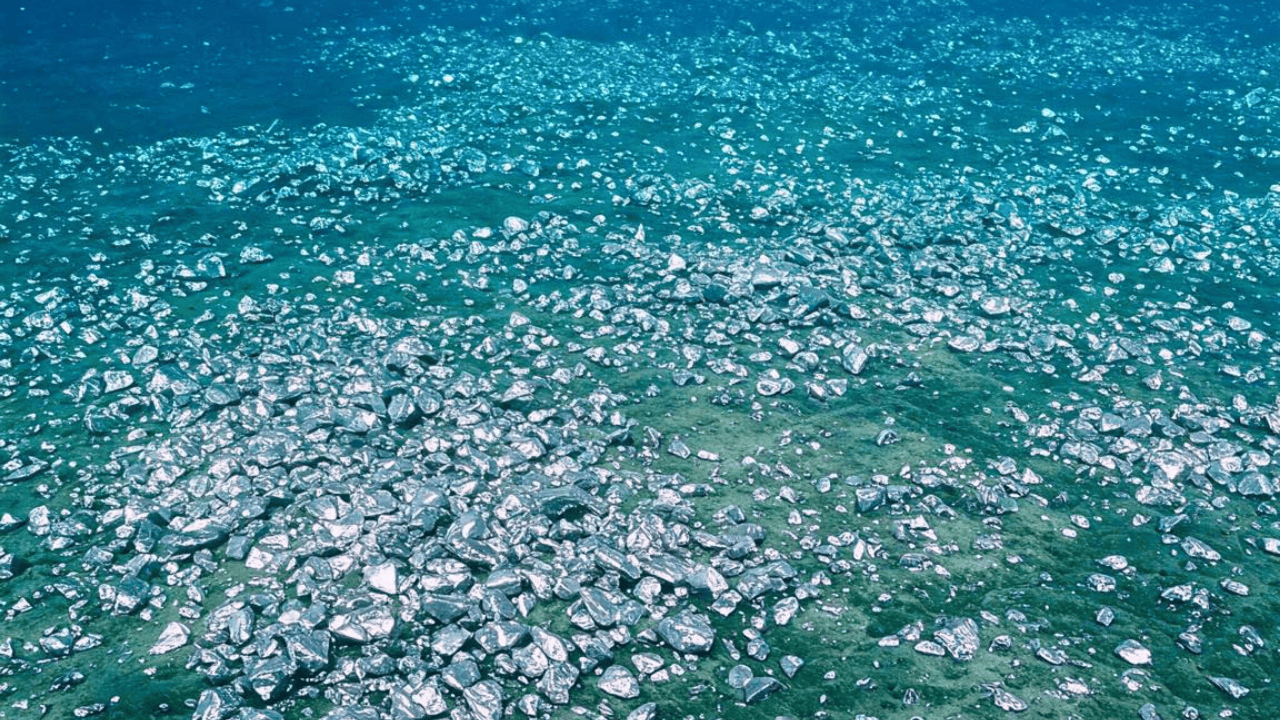 Scientists Strike $540 BILLION 'White Gold' in California