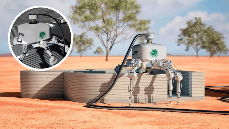 Spider Robot Builds Full House in 1 Day