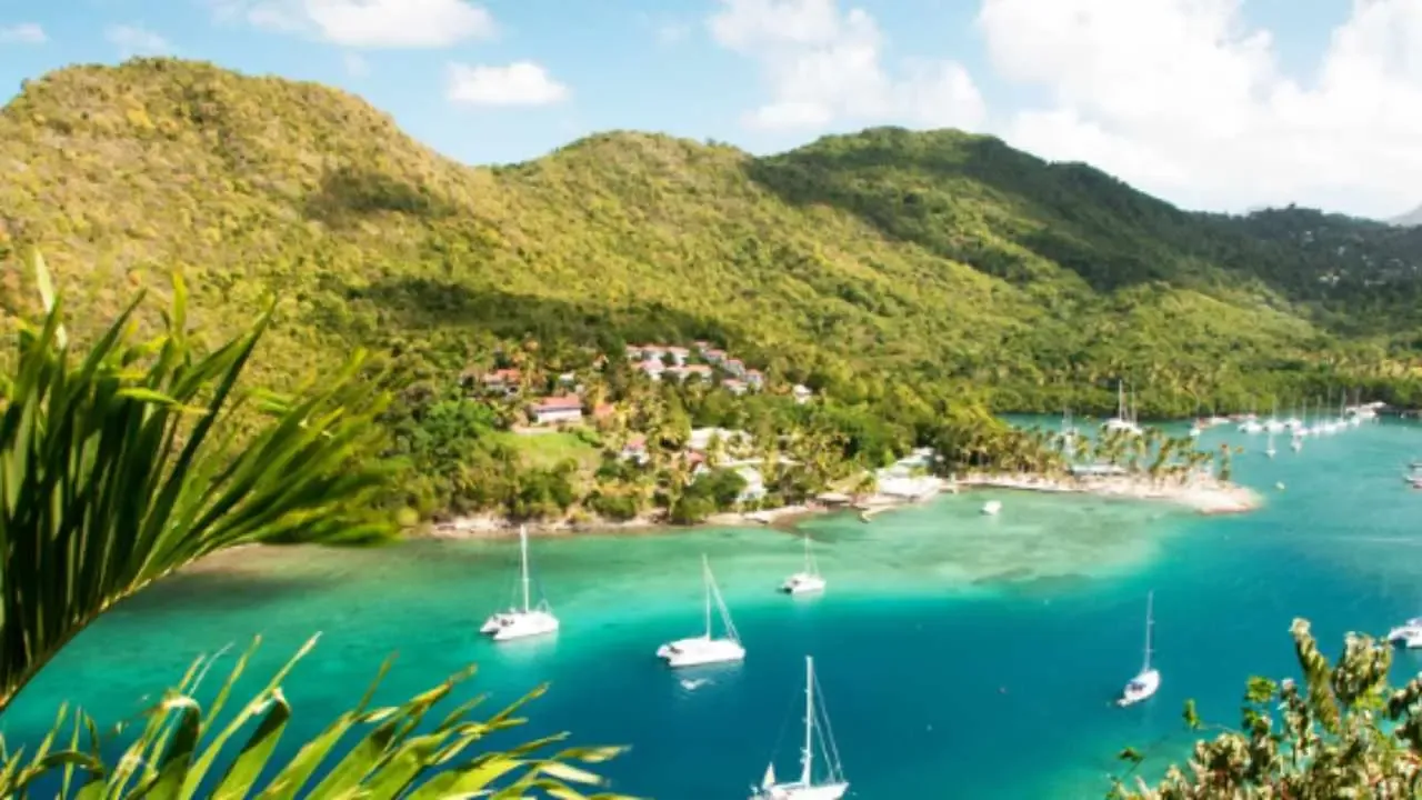 St. Lucia Citizenship by Investment Your Gateway to Global Opportunities