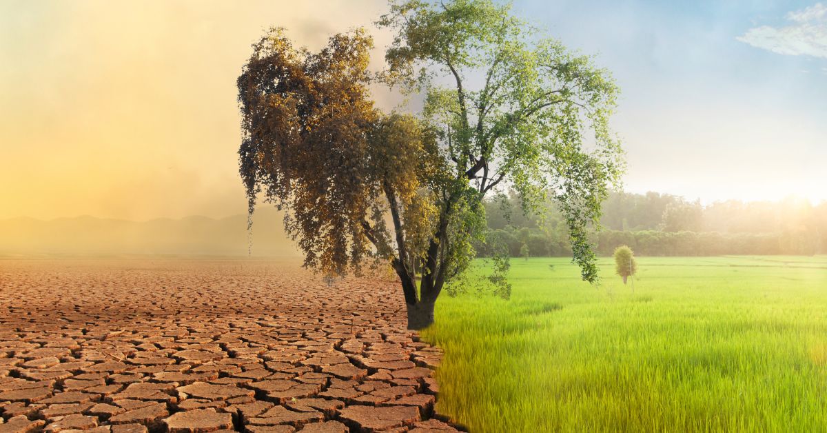 Sustainability in Portrait Photography How AI Can Reduce Environmental Impact