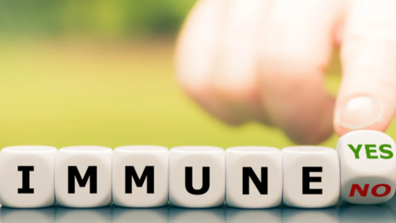Taking Your Immunity a Notch Higher Useful Steps to Follow