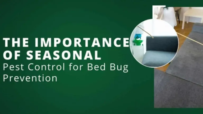 The Importance of Seasonal Pest Control for Bed Bug Prevention