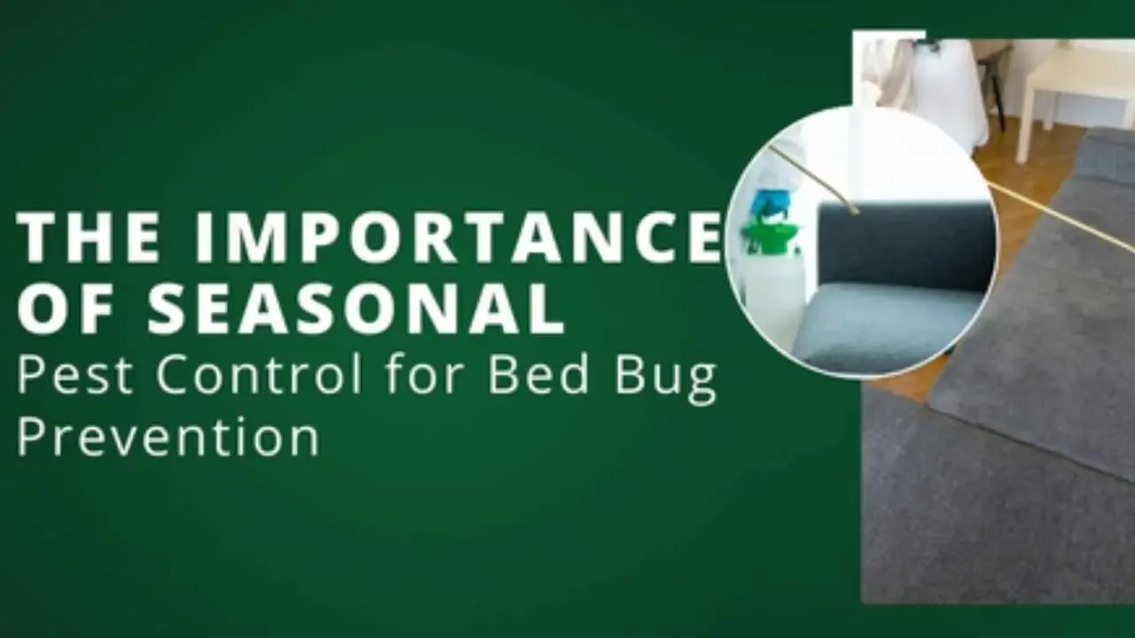 The Importance of Seasonal Pest Control for Bed Bug Prevention
