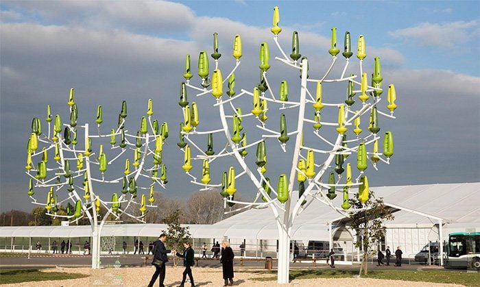 The Wind Tree New World Wind