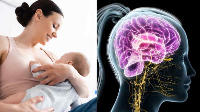 This new hormone can build strong bones (2)