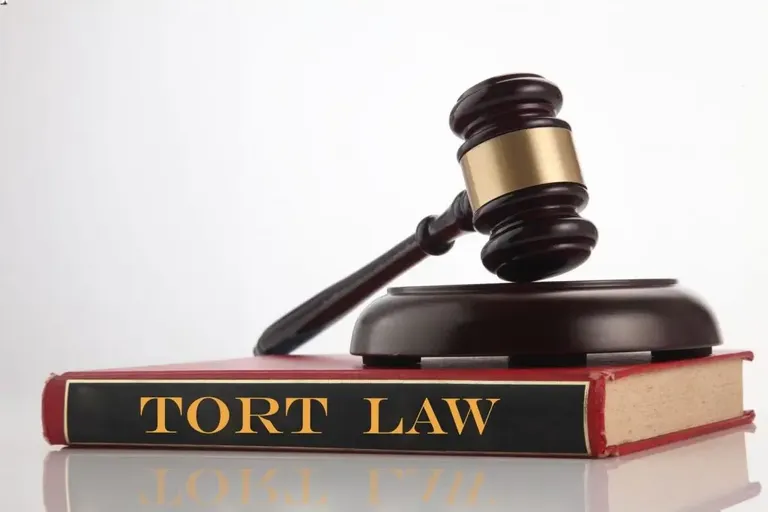 Tort law explained