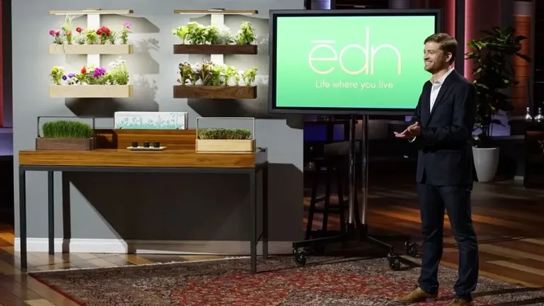 Ryan Woltz pitching Edn Wallgarden smart indoor garden on Shark Tank, showcasing vertical plant displays and a sleek countertop model with a branded screen in the background.