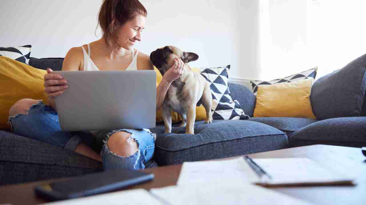 WFH Productivity Hacks