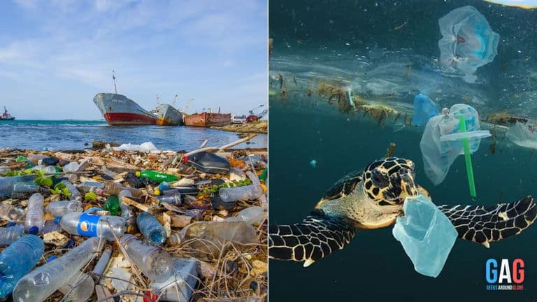 What Happens to Plastic in the Ocean