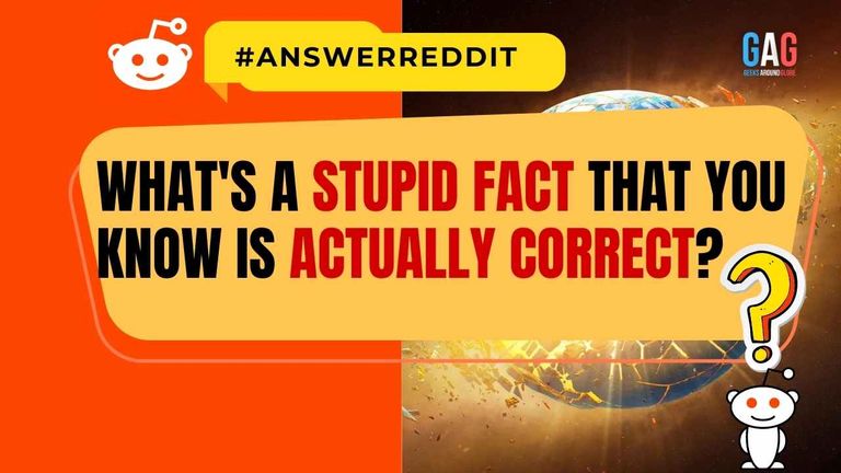 What's a Stupid Fact That You Know Is Actually Correct