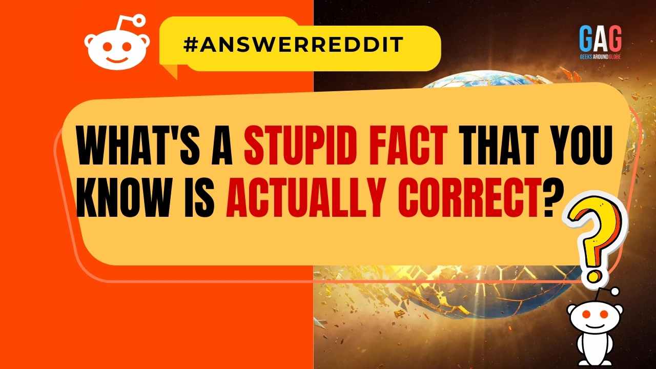 What's a Stupid Fact That You Know Is Actually Correct