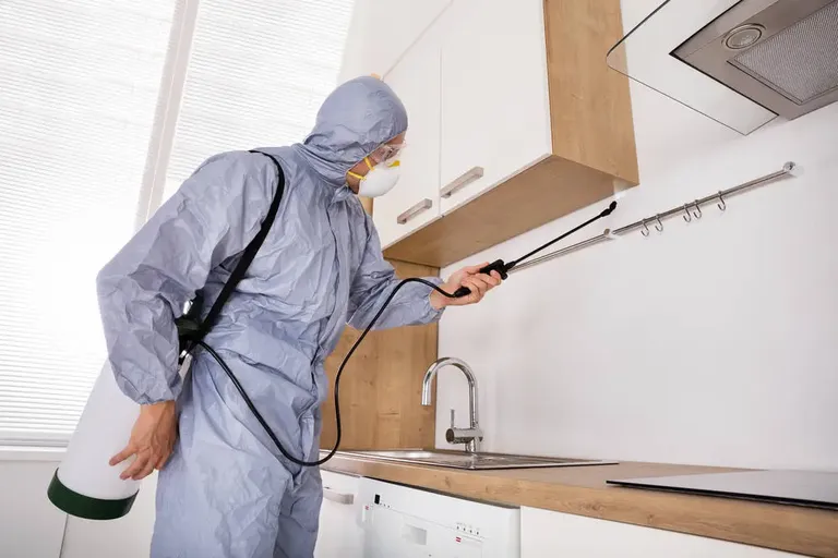 Formaldehyde removal
