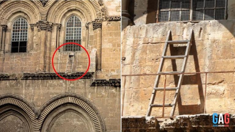 Why nobody can move this ladder If anybody does they might start a war