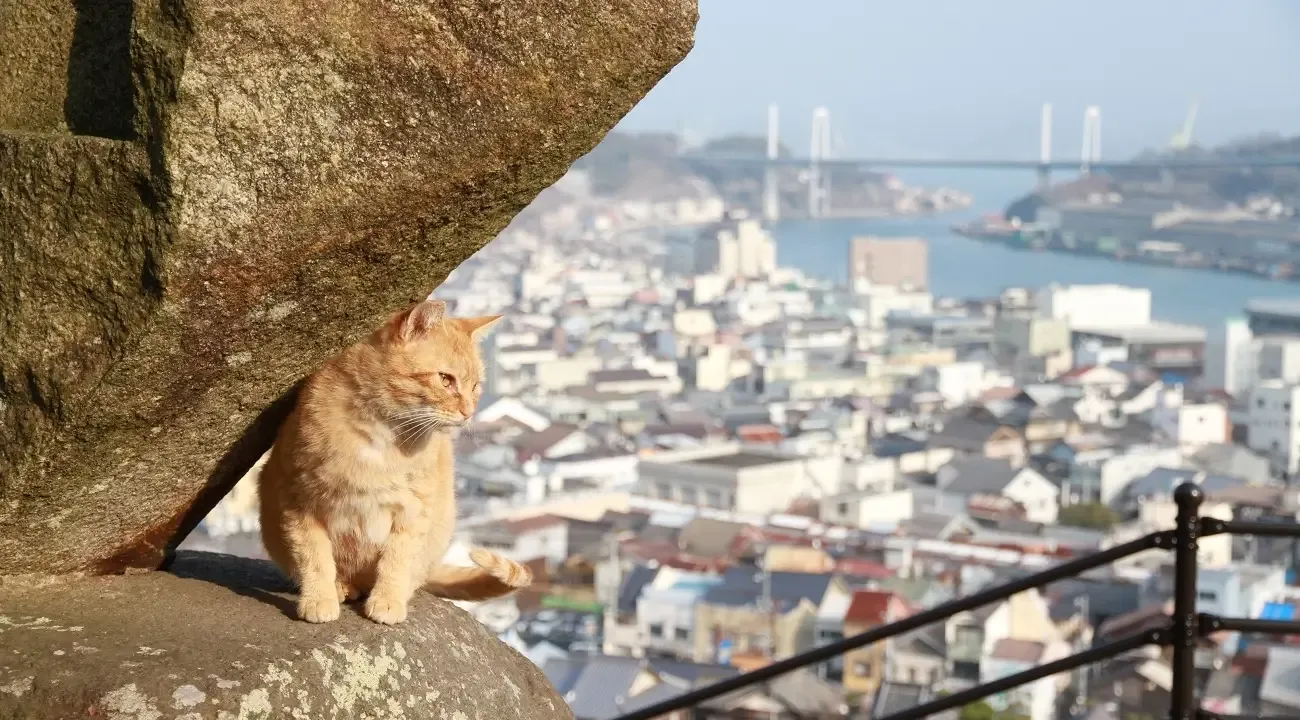 Onomichi for cat lovers