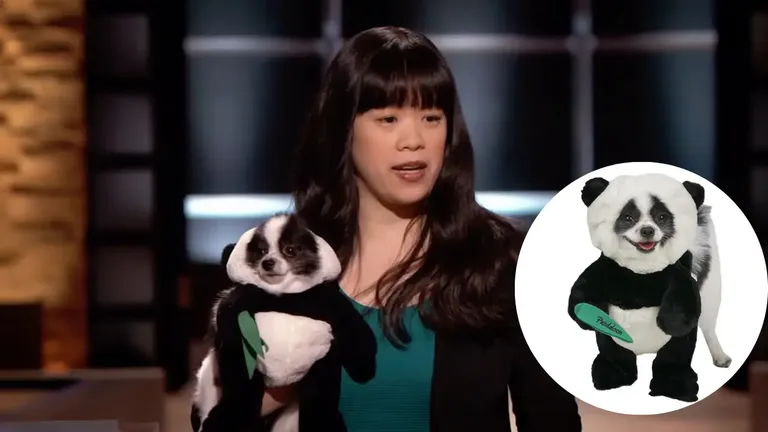 “Eugenia Chen presenting Pandaloon’s panda dog costume on Shark Tank, holding her Pomeranian in costume, with product images showing the brand’s expanded line.”