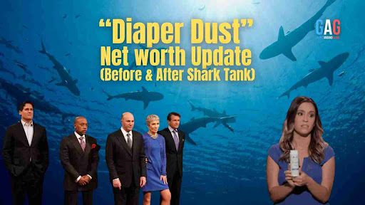 diaper-dust-networth-update