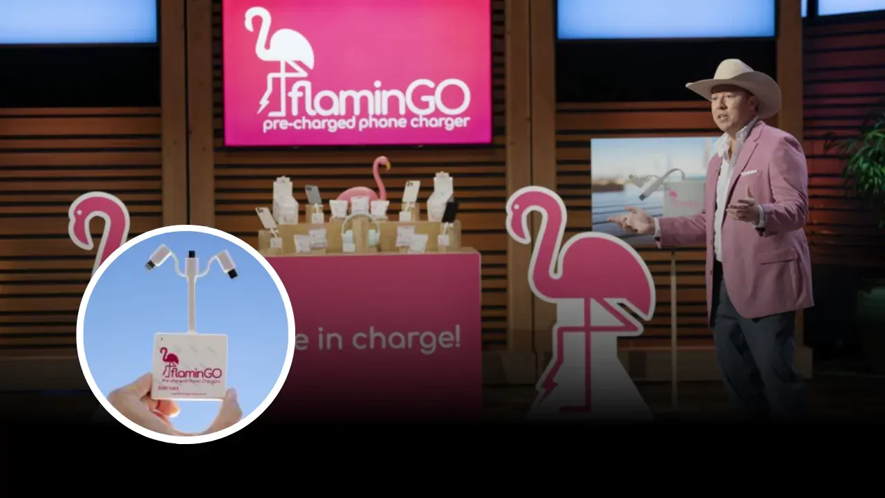 FlaminGO Shark Tank Update | Season 16