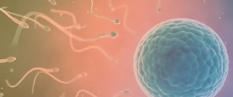 Assisted reproduction